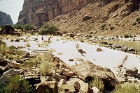 LEFT -  UPPER 140 MILE CANYON. C=40. 1975. NPS, BORDEN.