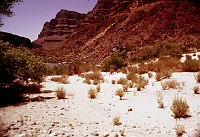 RIGHT - LOWER 220 MILE CANYON. CC=40. ACCESSIBLE FROM UPPER 220 MILE CANYON BEACH. 1975. NPS, BORDEN.