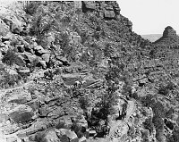 VISITORS RIDING MULES &quotON THE ZIG ZAGS OF THE BRIGHT ANGEL TRAIL.&quot (NEAR 2 MILE CORNER.) CIRCA 1902. NPS, PEABODY. 