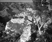 MULE TRAIN TOPPING OUT BRIGHT ANGEL TRAIL. &quotLATE AFTERNOON FINDS A TRAIL PARTY RETURNING TO THE SOUTH RIM OF THE GRAND CANYON OF ARIZONA, IN AMPLE TIME TO WITNESS THE SHADOWS OF NIGHT CREEP STEADILY HIGHER AND THE CHANGING COLORS FADE.&quot  CIRCA 194