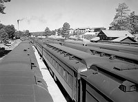 LOOKING OVER THE ROOF-TOPS OF FIVE SPECIAL SHRINERS TRAINS IN GRAND CANYON STATION. VIEW TO THE WEST. 17 JUNE 1950. NPS PHOTO BY EDEN.