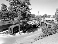 VIEW OF GRAND CANYON DEPOT WITH SPECIAL SHRINERS TRAINS IN YARD. 17 JUNE 1950 NPS PHOTO BY EDEN