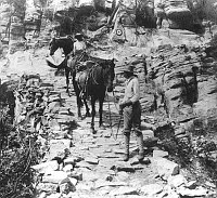 MAN LEADING 3 HORSES, ONE WITH A WOMAN RIDER, DOWN A  COBBLESTONE SECTION OF THE GRANDVIEW TRAIL. CIRCA 1905. FENTON COLLECTION. 
