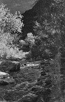 JUNCTION OF THE WHITE AND SHINUMO - EARLY MORNING. (MY COLOR SHOT OF THIS WON A LOCAL PRIZE) SHINUMO ENTERS FROM RIGHT. WHITE IS THE QUIET MIRROR-PATCH NEAR LEFT CENTER. GRCA 70060.  JULY 1951. CLUBB PHOTO