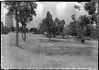 APPRAOCH ROAD TO THE WATCHTOWER AT DESERT VIEW. SIGN MARKS TURNOFF TO DESERT VIEW CAMPGROUNDS. 06 MAY 1936. NPS PHOTO 