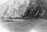 TREE PLANTING BY CCC FOR CAMPGROUND BUILT ON FORMER SITE OF CCC CAMP 818. PHANTOM RANCH. CIRCA 1936. NPS