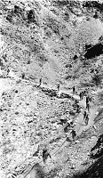 HAVASUPAI WORKERS HAULING BRIDGE SUPPORT CABLES ON THEIR SHOULDERS AND DOWN THE TRAIL. FOR THE KAIBAB SUSPENSION BRIDGE. GC 160-8. 1928. NPS. 
