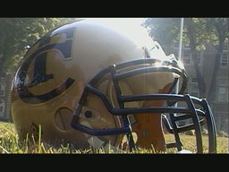 goldenhelmet