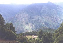Dhakuri