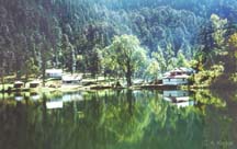 Dodital