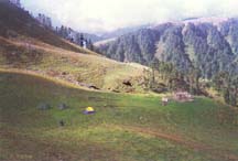 Dayara Bugyal