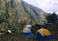 Dhakwani