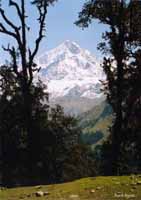 Nanda Ghunti