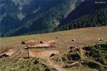 Sartoli
