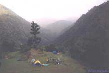 Maladhar