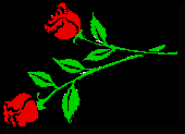 image of 2 roses