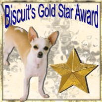 biscuit