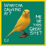 gawking