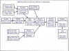 lineage.jpg (62138 bytes)