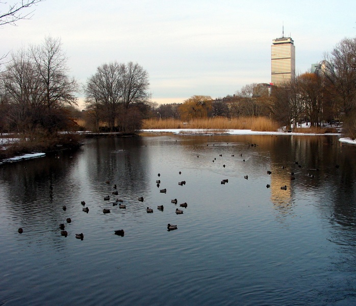 Fen-lake