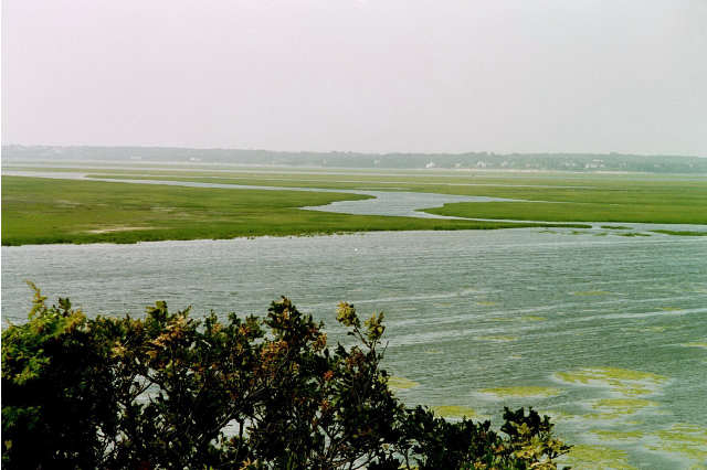 Marsh