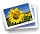 Photo Album