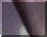 See something