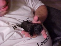 4 weeks old
