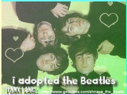 Beatles adoptable