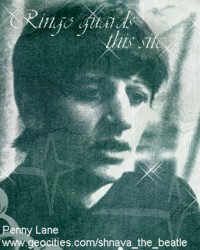 Ringo guard