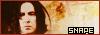 haha snape!