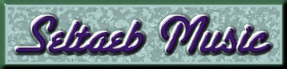 SELTAEB MUSIC