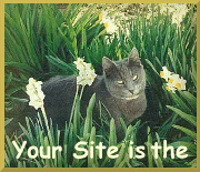 Erika's Family Daycare - Cat's Meow Site Award