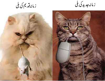 Shoaib Mansoor