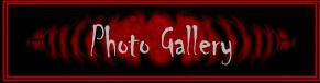 Photo Gallery