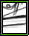 PIR d