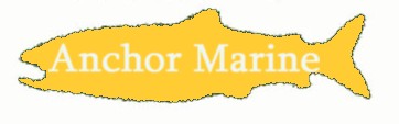 click for a live view from anchor marine