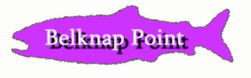 click for a live view of the broads from the belknap point area