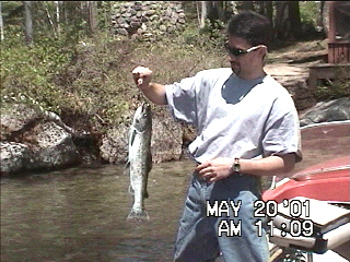 Kevin's salmon