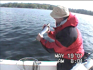 Pete's Salmon