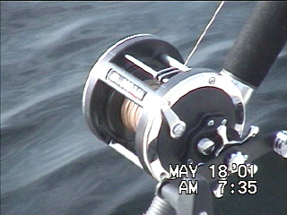 Pete's Reel