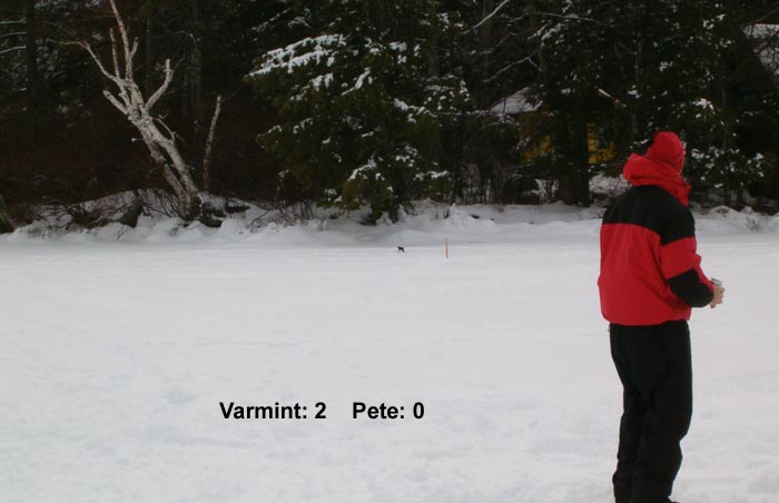 Pete is taunted mercilessly by the wolverine...