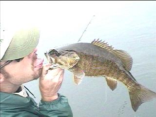 jerkbait smallmouth