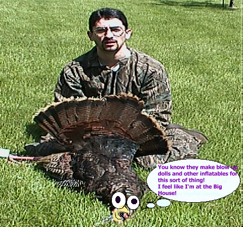 bird molestation