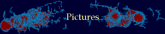 Pictures