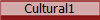 Cultural1