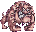 PICTURE OF A BULLDOG