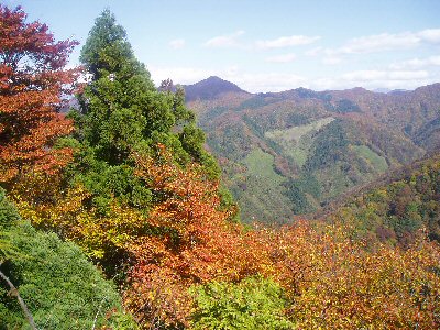 Autumn leaves in the hills of Hirata