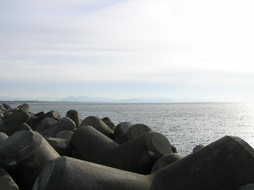 Tetrapods, sea and mountians.