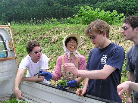 Setsuko-san teaching Brian, Christian and Chris how to plant the seedlings